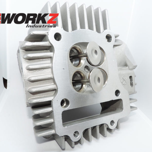 Motosyko Race Valves Workz Industries Pit Bikes